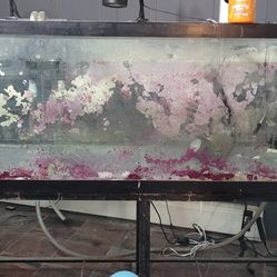 180g Aquarium With Metal.stand 425