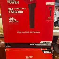 🎈🎈AVAILABLE🎈🎈