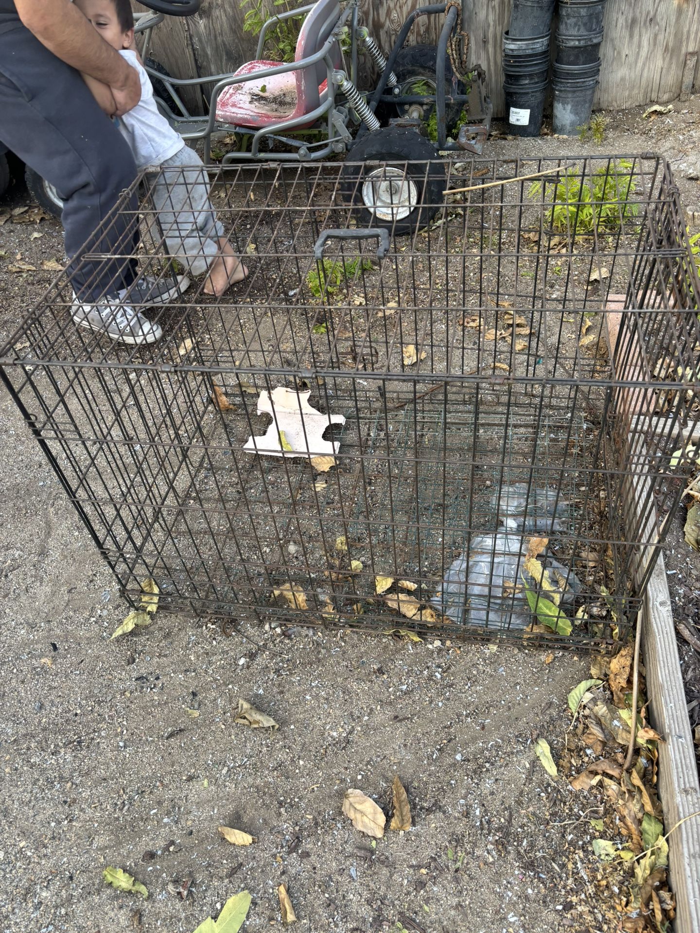 Dog Cage
