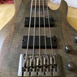 5 String ESP LTD bass