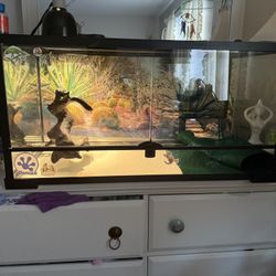 40 Gallon Breeder Reptile Enclosure