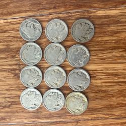 Set Of 12 Buffalo 5 Cents From 1900s 