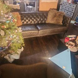 CB2 Savile Leather Tufted Sofa