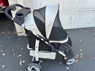 Cat stroller/ Yes it’s available