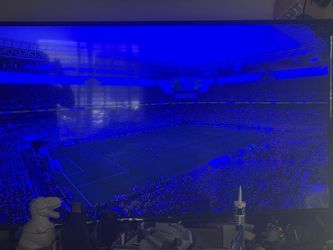 LG 65 inch tv