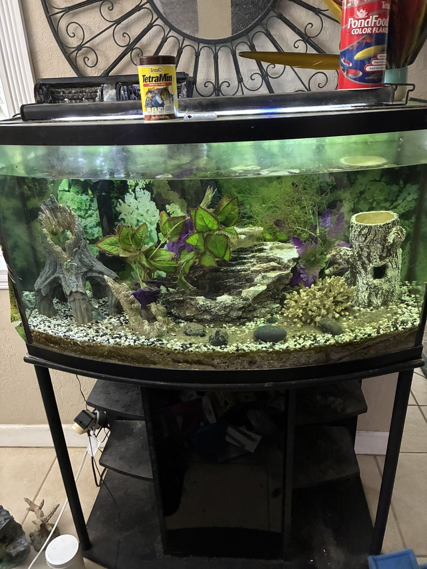 Bowed Front 46 Gallon Tank for Sale in Venice, FL - OfferUp