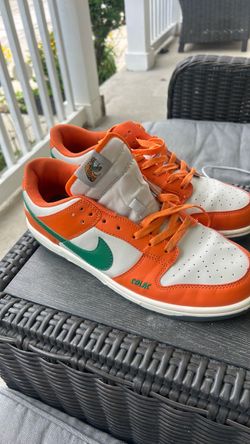 Nike Dunk Low FAMU Sneakers