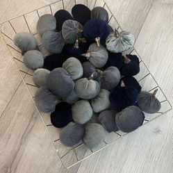 Mini Pumpkins 