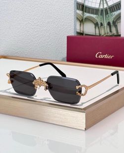 Sunglasses unisex VIP