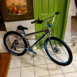 SE Bikes Fast Ripper Stainless Steel