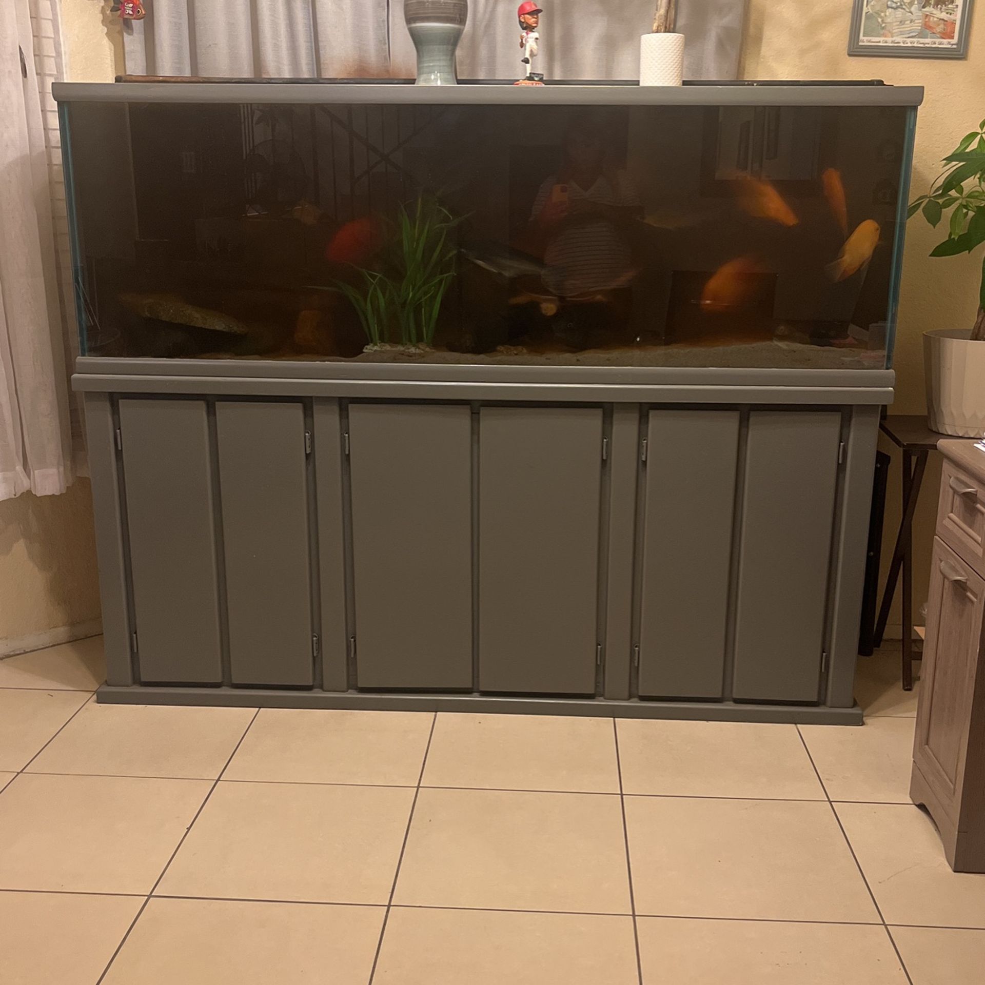 180 Gallon fish tank