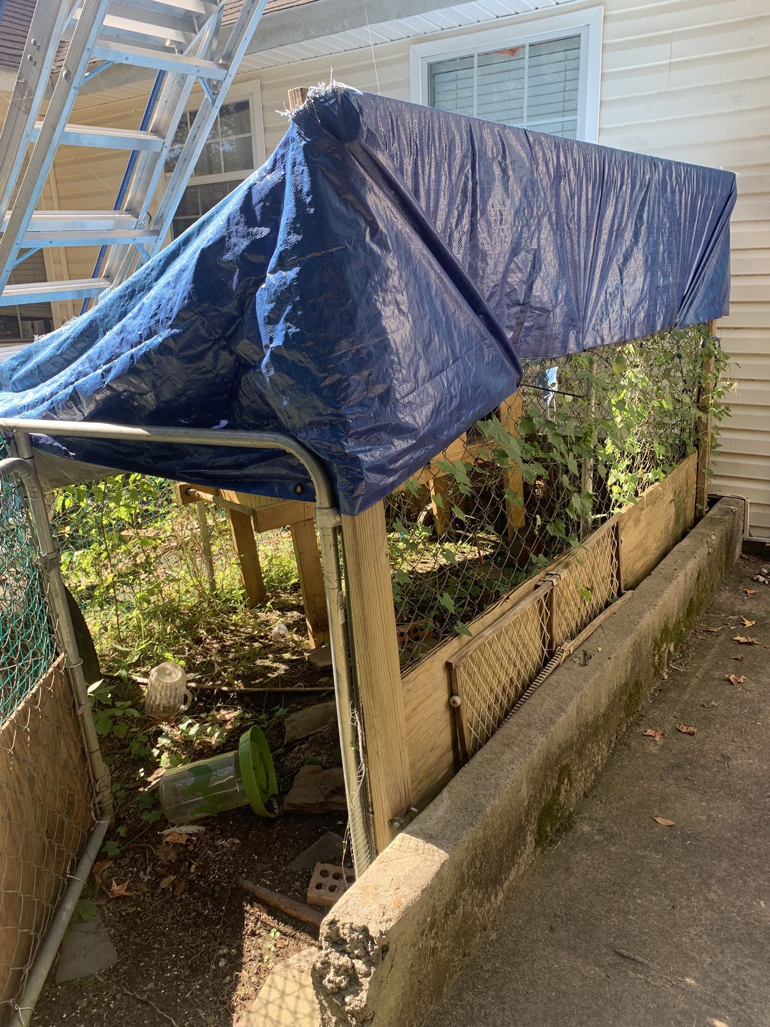Chicken Coop 