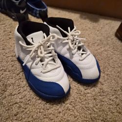 Jordan 12 (9c)