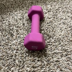 5 Ib Dumbbell 99% New