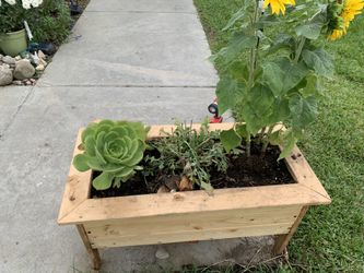 Handmade plants stand serious inquires no bargain