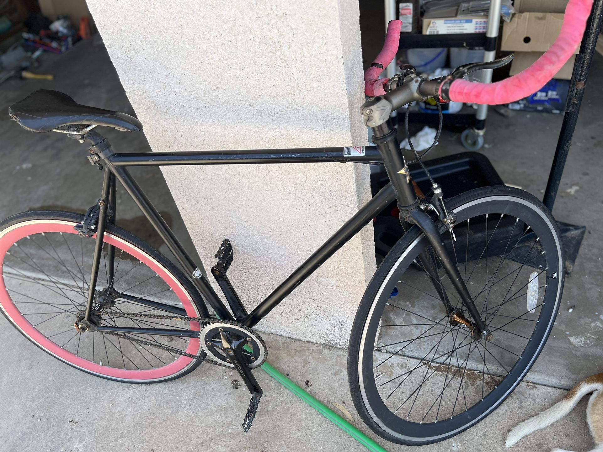 Light Weight Speed Bike