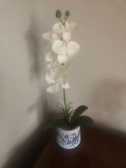 Artificial Orchid White/Blue White Vase