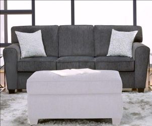 Thunder Kohl Couch plus Loveseat