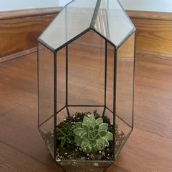 Glass Terrarium With Succulent Plants 