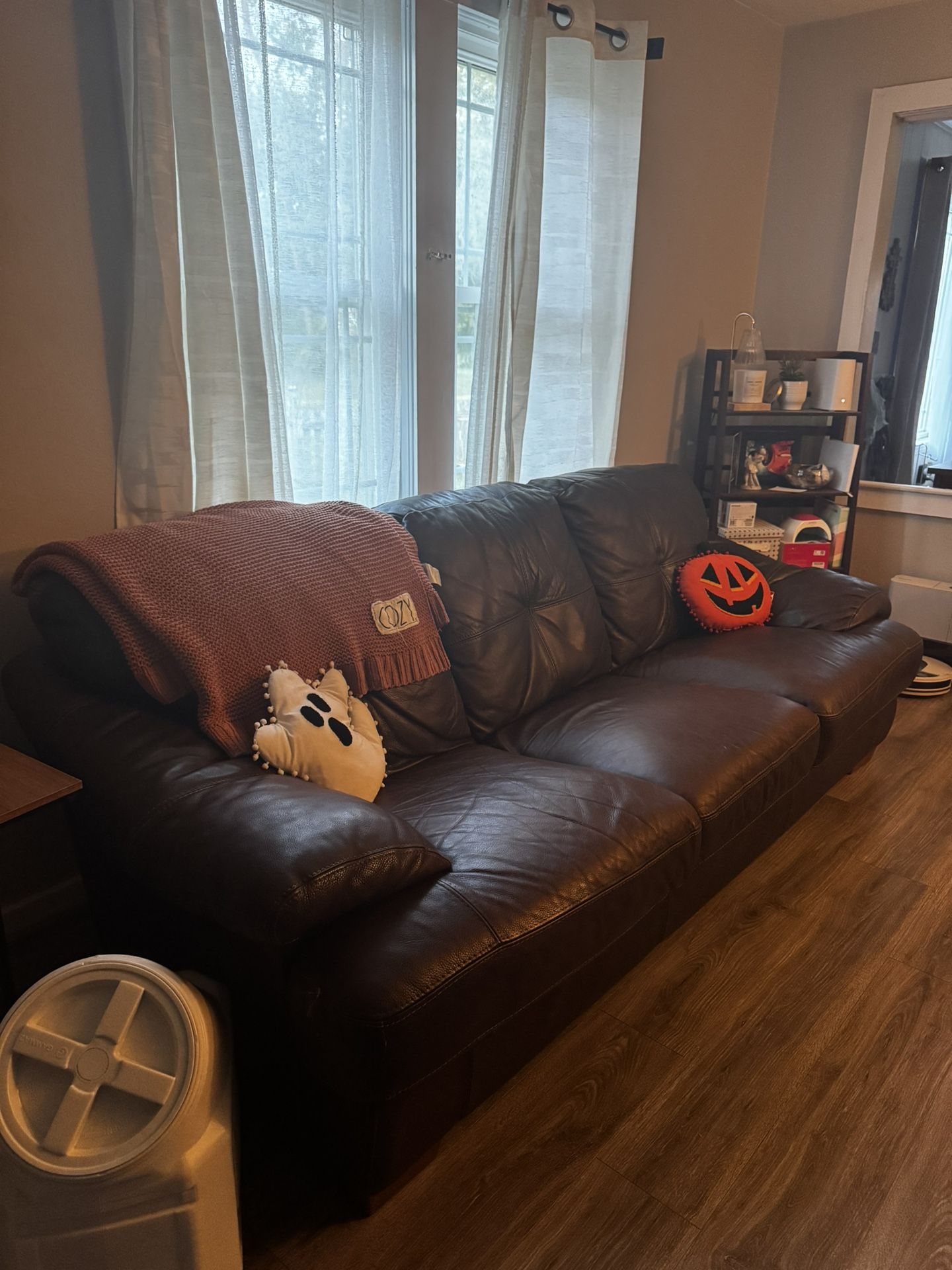 Brown Leather Couch