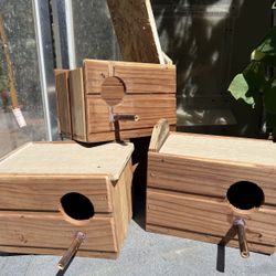 Bird House