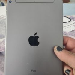 Ipad Mini 5