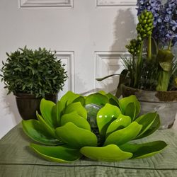 Green Solar Succulent 