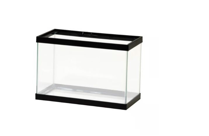 Five Gallon Fish Tank