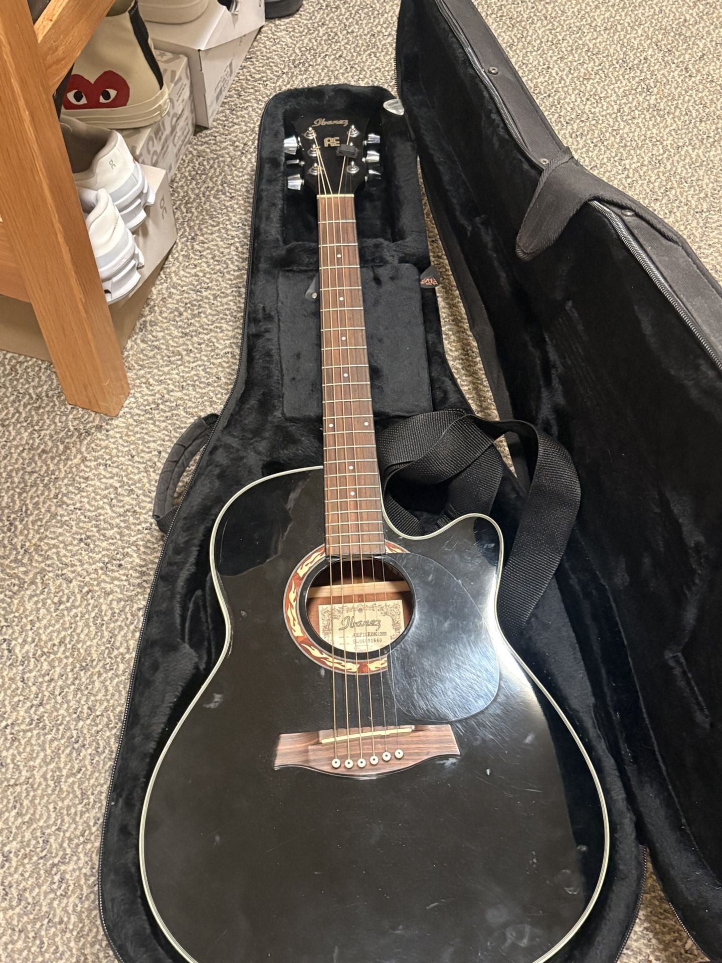 Ibanez AE + Gator Case