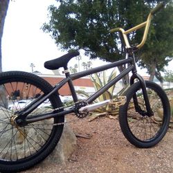 20" Freestyle BMX Bike Custom..Puss Magne!. 