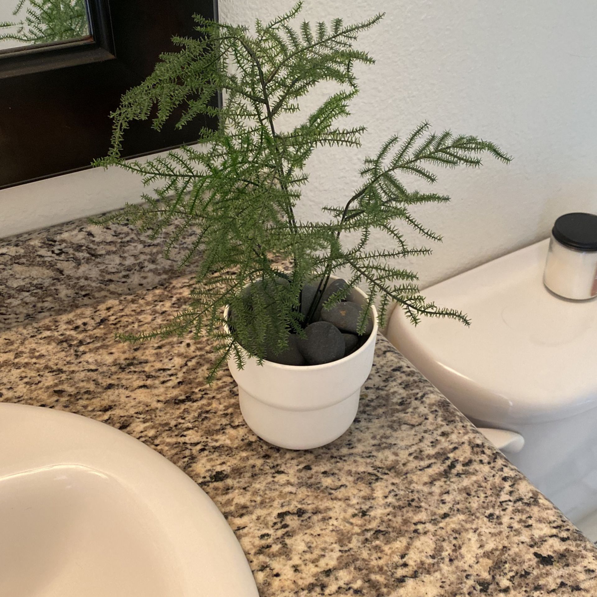 Fake plant w pot