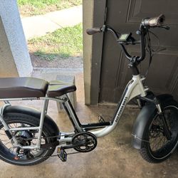 RAD POWER BIKE