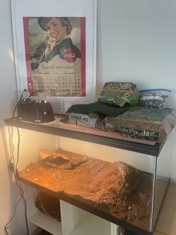 Reptile Tank and UV And Heat Light