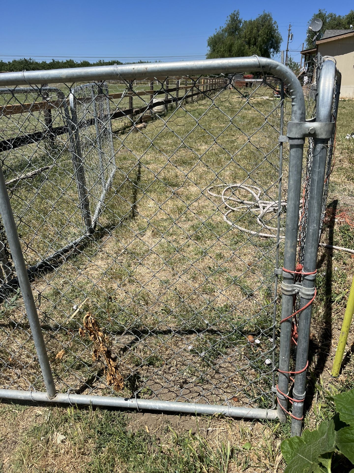Dog Kennel
