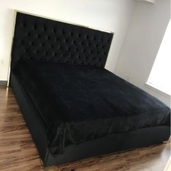 Black Velvet Queen Bed 