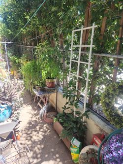 Everything is for sale! Open now !!!!