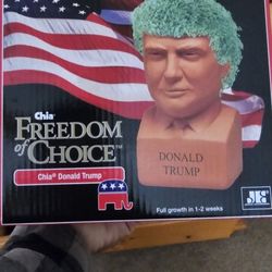 Donald Trump Chia Pet