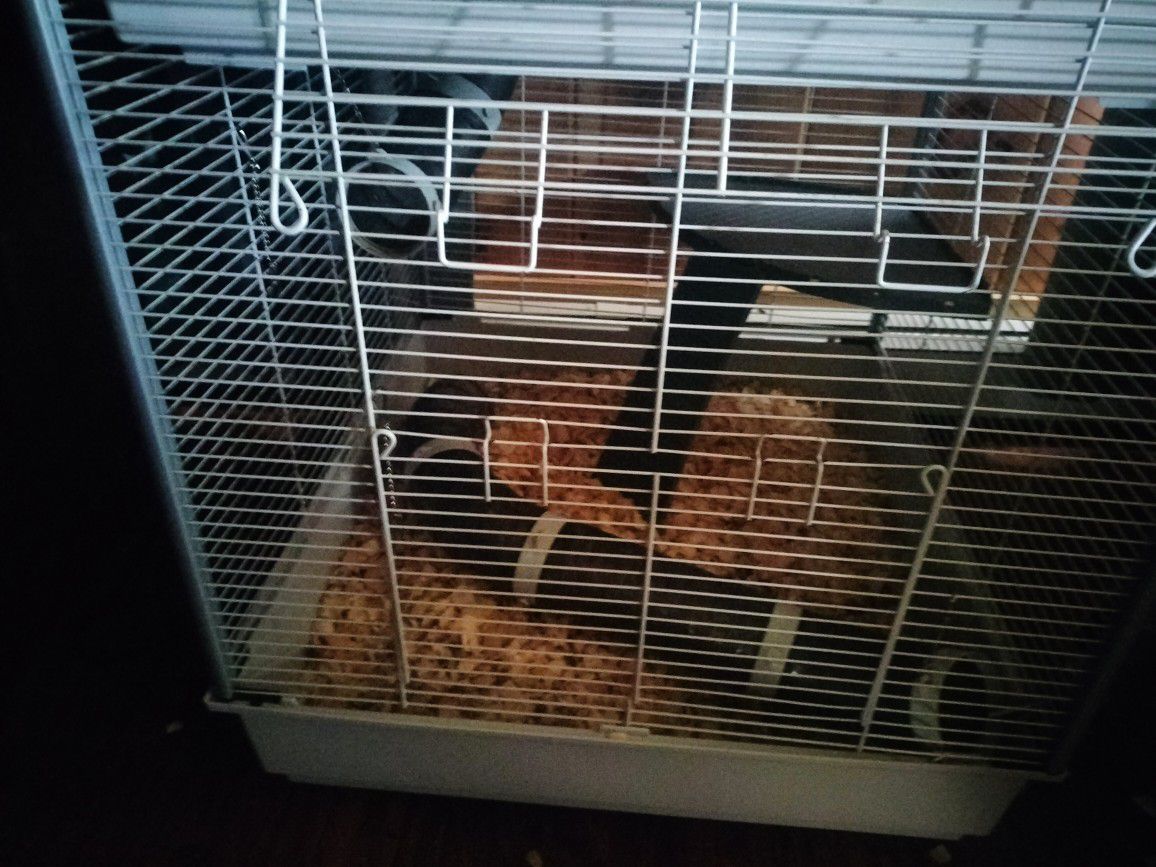 Large Size Small Animal Cage