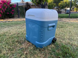 Igloo Cooler