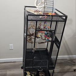 Beautiful Bird Cage 