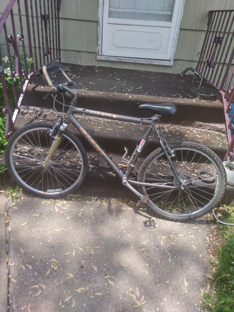 Vintage 90's GIANT Mountain Bike Aluminum FRAME & Tires