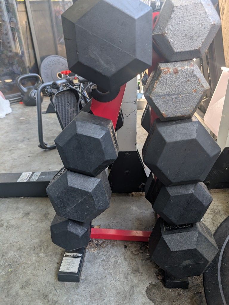 Gym Equipment (Price Breakdown Below)
