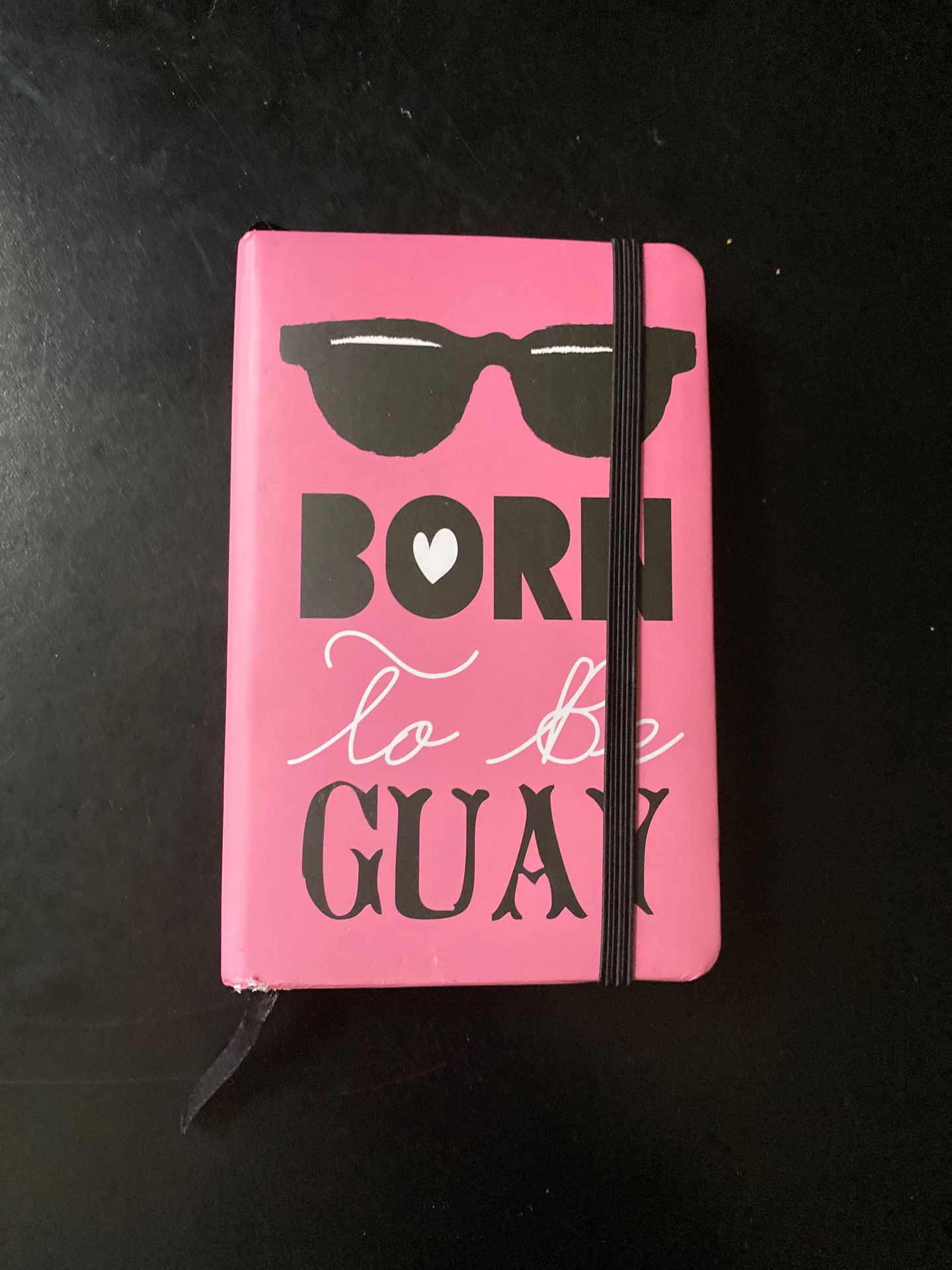 Born to Be Guay Notebook