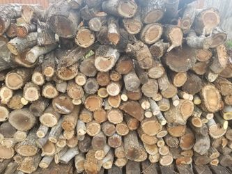 Mesquite,oak and Pecan