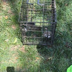 Small Dog Crate