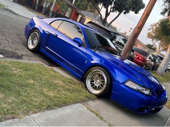 2004 ford Svt cobra