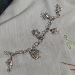 Pulsera De Plata