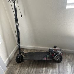 Gas Moped 