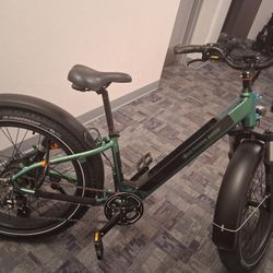 Rad Electric Bike 