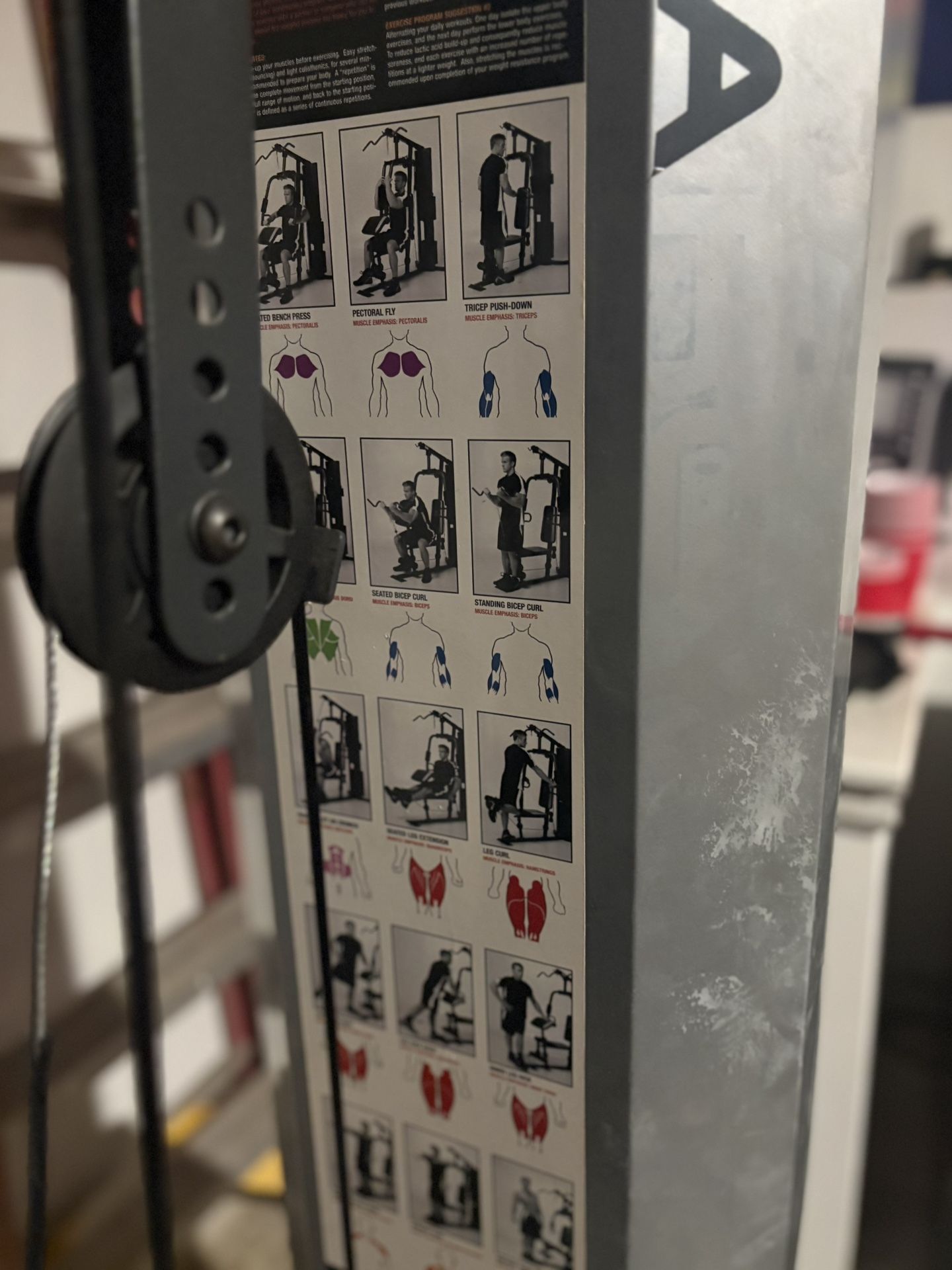Work Out Equipment